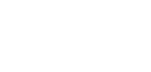 קרלינסקי – אמנות בעור